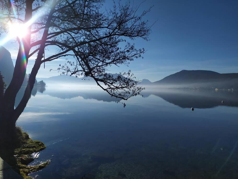 Cabana & Le Central - Proche Lac , Terrasse Et Parking Annecy Buitenkant foto